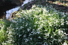 Killikus&reg; Fotographie